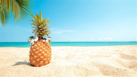 Wallpaper Pineapple Sunglasses Beach Palm Trees Sea 5120x2880 Uhd