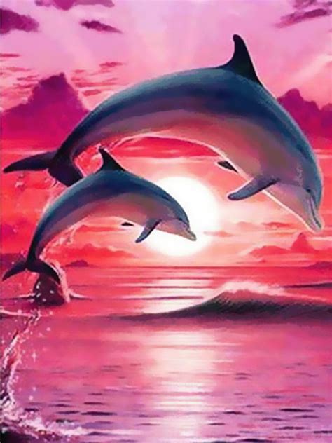 D Diamond Painting Dolphin Kits Full Square Circular Etsy