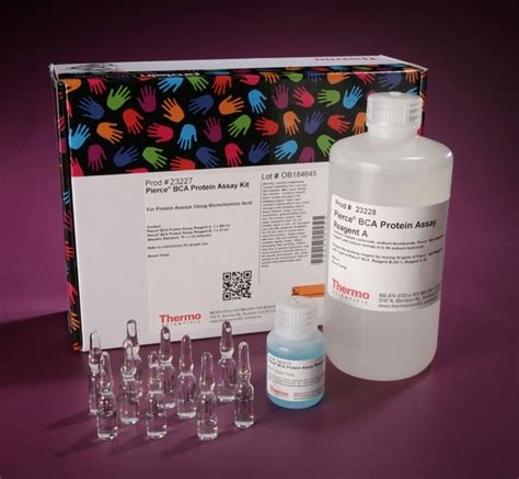 Pierce BCA Protein Assay Kit Thermo Fisher Scientific