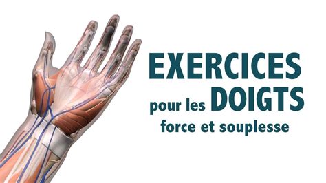 Exercices Pour Les Doigts Force Et Souplesse Youtube