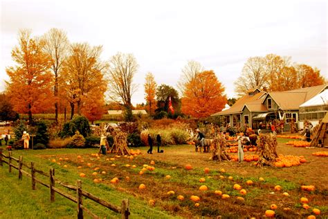 Download Posted In Autumn Tagged Fall Vermont Pics Pumpkin Farm Pic