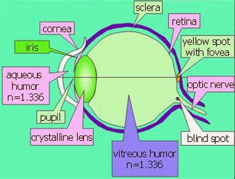 Difference Between Blind Spot And Yellow Spot