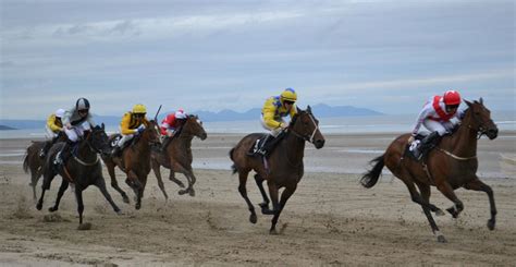 Laytown Races Discover Boyne Valley Meath Ireland