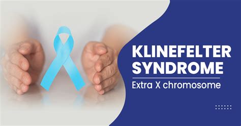 Klinefelter Syndrome Symptoms Causes Treatments And M Vrogue Co