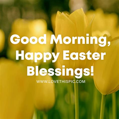 Yellow Tulips Good Morning Happy Easter Blessings Pictures Photos
