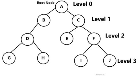 Check If A Binary Tree Is Balanced By Height