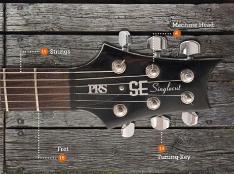 The Anatomy Of An Electric Guitar