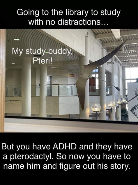 Adhd Student Life In A Nutshell Radhdmeme