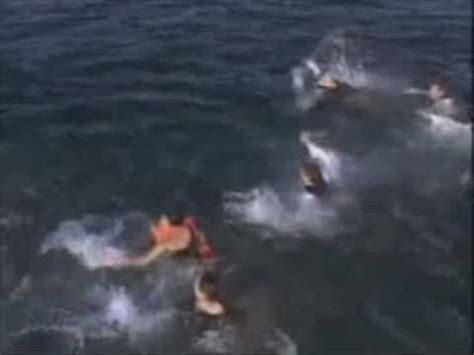 Real Shark Attack Filmed By Helicopter - YouTube