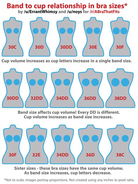 Your breast size never stays the same. Imgur: The most awesome images on the Internet. | Anatomy ...
