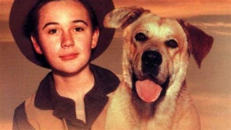 Movies · 1 decade ago. 12 movies every dog lover needs to watch | Movie Reviews ...
