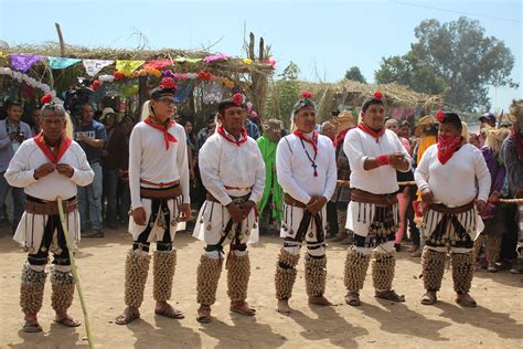 Sonora Jornadas Interculturales De Los Pueblos Indígenas Del Noroeste