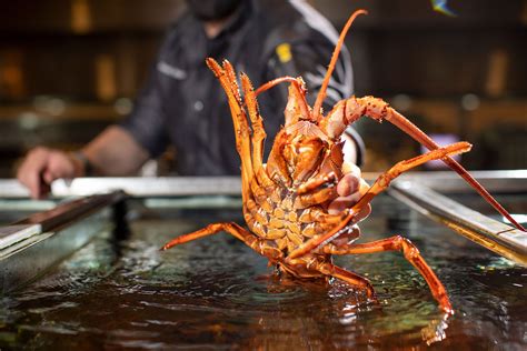 California Spiny Lobsters Are Back For The Season Available From October March These Special