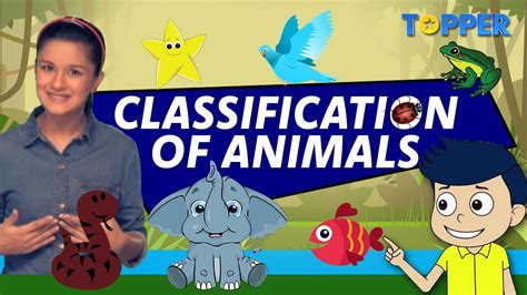 Classification Of Animals Class 1 To 5 Youtube