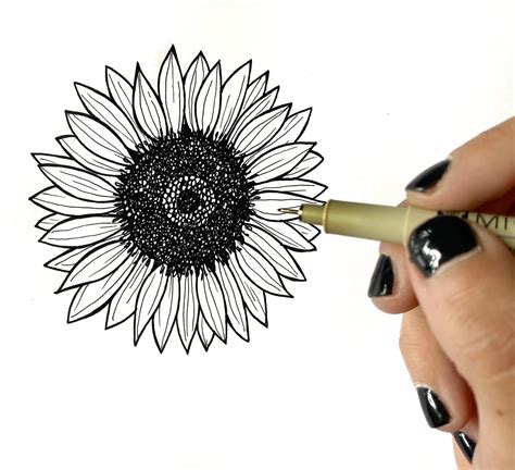 How To Draw Sunflowers The Happy Ever Crafter