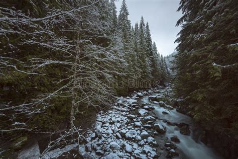 Creek Winter Snow Stock Image Image Of Cascades Massive 49485379
