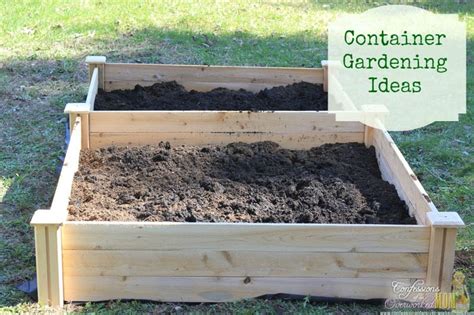 Container Gardening Vegetables Digin Ad