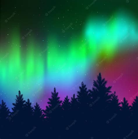Premium Vector Background With Northern Lights And Black Spruce Forest