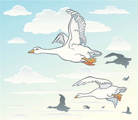 Geese Flying Illustrations Royalty Free Vector Graphics And Clip Art