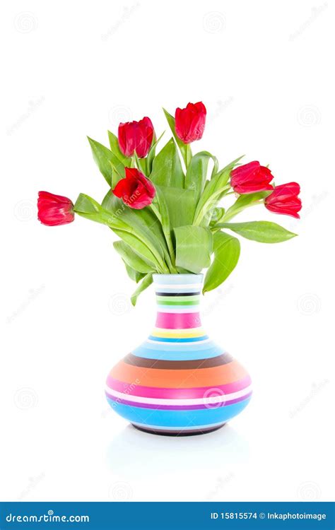 Colorful Tulips In Cheerful Vase Stock Photo Image Of Stripes Green