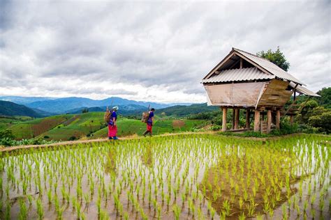 hmong-village-traditional-hill-tribe-village-market-doi-pui,-chiang-mai