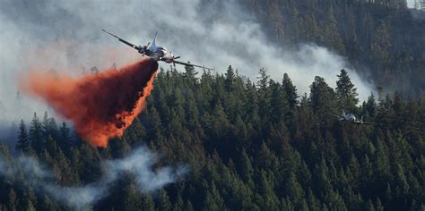 Us Forest Service Ecologist Says Mega Wildfires Require More Than