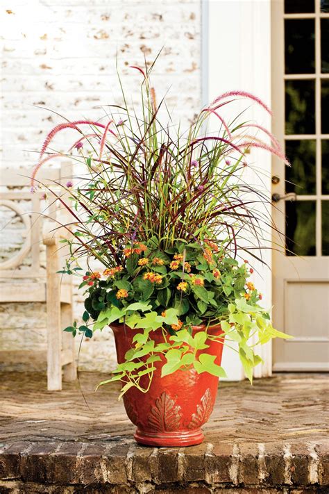 Gorgeous Fall Flowers In 2020 Fall Planters Container Gardening