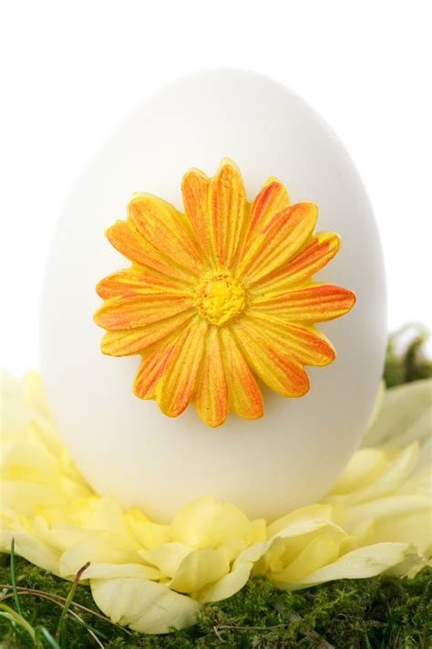Decorated Easter Egg Free Stock Photo Public Domain Pictures