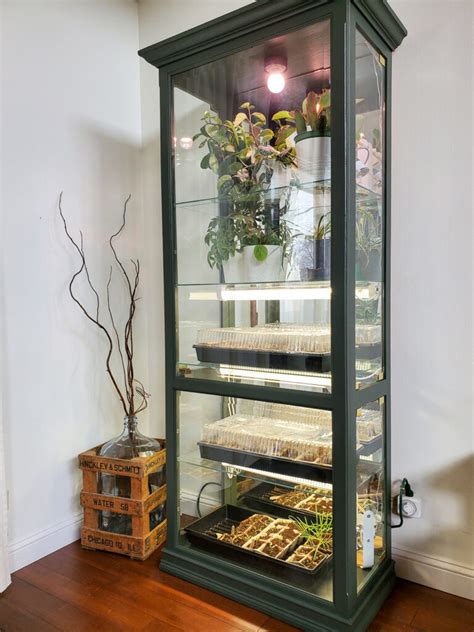 The diy bamboo greenhouse greenhouse design. DIY Indoor Greenhouse Cabinet from an Old Display Cabinet ...