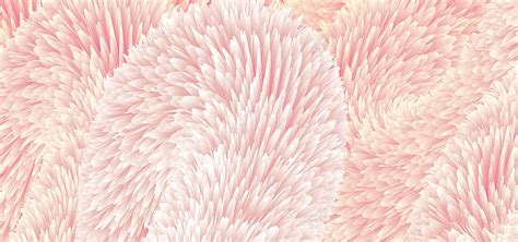 Close Up Light Pink Furry Of Wool Texture Background Pink Furry Furry