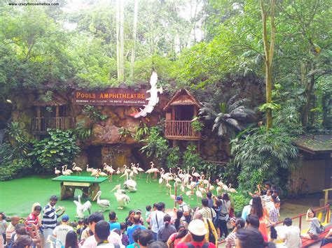 Hotels near jurong bird park, singapore. Trip to Singapore Day 4 - Jurong Bird Park and Marina Bay ...