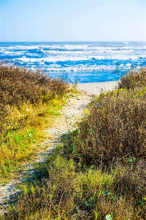 The historic district is home to delicious home style couples can experience a ton of different events throughout the year from food and wine tastings to art shows. 12 Unique and Incredibly Fun Things to Do in Galveston TX