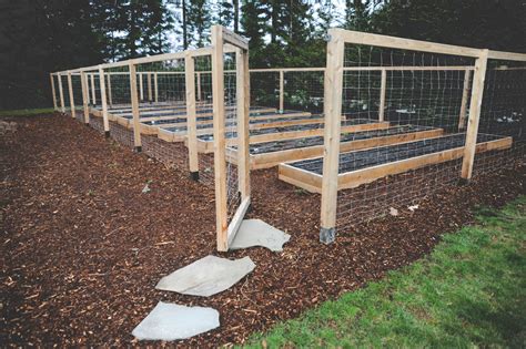 Raised Bed Edible Perennial Garden With Deer Fencing