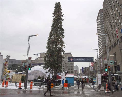Is Montreal's Christmas tree ugly, or are we just looking at it wrong ...
