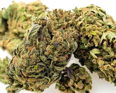 Small hemp farms may need extra farmhands to harvest the crop in time. Sour Space Candy CBD Hemp Flower for Sale - Industrial ...