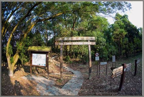 Sur.ly for drupal sur.ly extension for both major drupal version is. 『 深秋元朗 ★ 大棠郊野公園 2012 』 :: 9 -- fotop.net photo sharing network