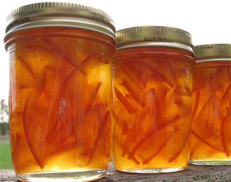 Delightfully Bitter Marmalade from Seville Oranges | A ...