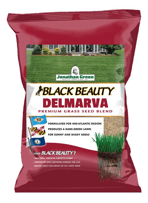 Black Beauty Delmarva Mid Atlantic Grass Seed Jonathan Green