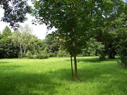 Haus.me is a true mobile house. Michael Schreiber - Bilder - Umgebung von Markkleeberg ...