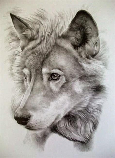 We did not find results for: Awesome Pencil Drawing Photos. - Bilder Land