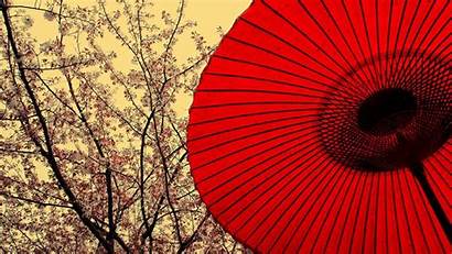 Umbrella Japanese Oriental Umbrellas Parasol Traditional Cherry