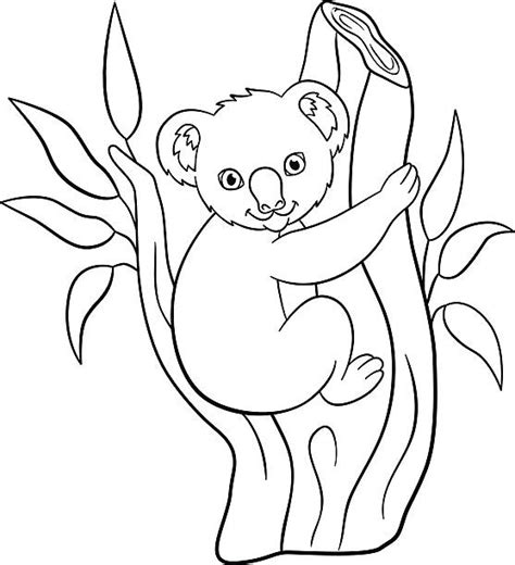 Koala Outline Backgrounds Illustrations Royalty Free Vector Graphics