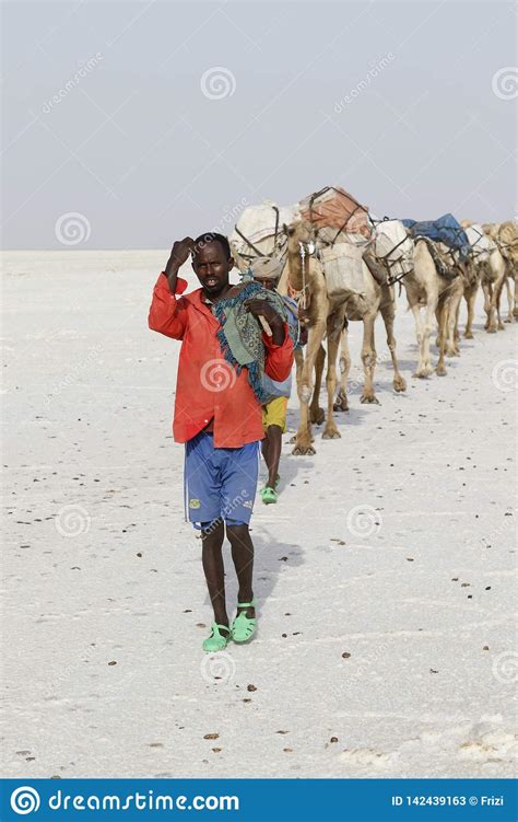 Danakil Ethiopia February 22 2015 Afar Men Are Leading A Camel