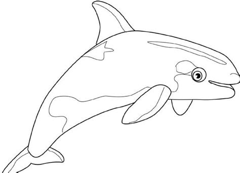Free printable killer whale coloring pages for kids. Free Printable Whale Coloring Pages For Kids