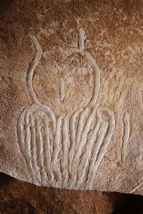 Dans les deux cas, un projet de musée reproduisant l'intérieur de la grotte était à l'étude. Voyage dans le temps à la grotte Chauvet 2 en Ardèche - Le ...