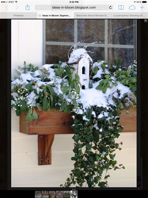 Great Idea Bird House In Window Box For Winter Window Box Flowers