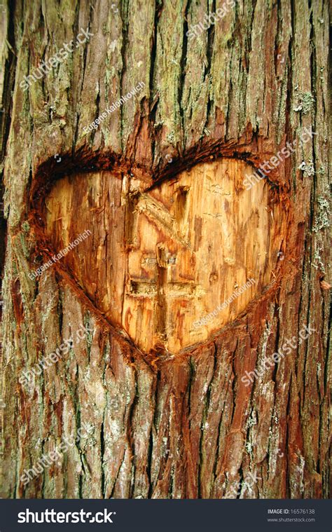 Check out our heart carved in tree selection for the very best in unique or custom, handmade pieces from our shops. Heart Carved In A Live Tree Bark Stock Photo 16576138 ...
