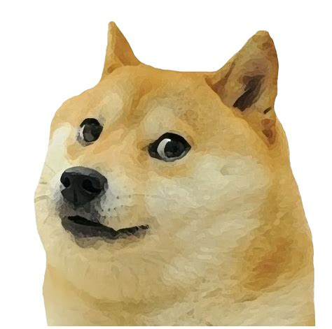 Doge Meme Png Doge En Png You Can Also Upload And Share Your