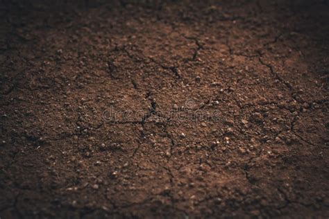 Dark Soil Texture Closeup Of Dry Soil Background Stock Photo Image Of