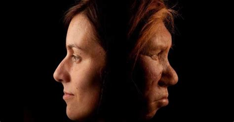 How Genes From Long Extinct Neanderthals And Denisovans Live On In Modern Human Dna Genetic